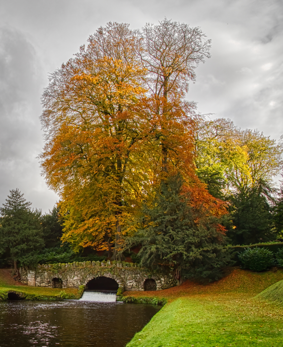 4.Autumn Splendour