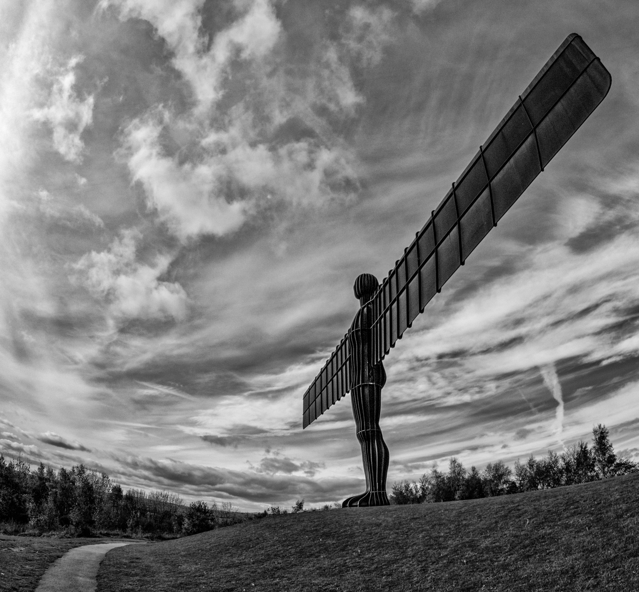 IMG_1415-Edit